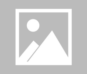 詹姆斯：美国人只说自己来自于哪个城市 其他国家的人更以国为荣